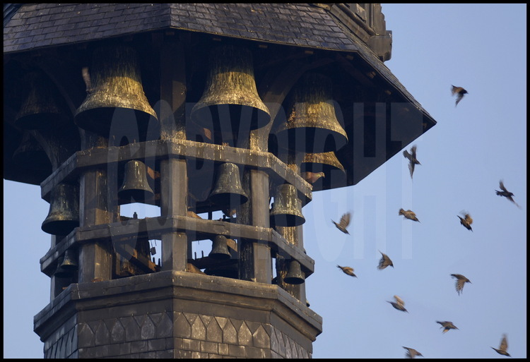 Les oiseaux fuient à tire d'aile aux premiers sons de cloches du carillon du beffroi de Béthune, qui sonne toute les demi-heures.