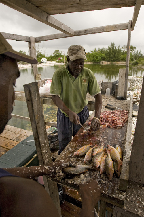 Grand Bahama : Écaillage de la pêche du jour, non loin de Freeport, la 