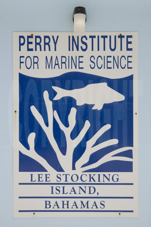 Lee Stocking Island : Fondé en 1990, le Perry Institute of Marine Science est un organisme à but non lucratif de nationalité américaine qui se consacre à l'étude scientifique de la vie sous-marine et à l'éducation. De nombreux étudiants venus du monde entier viennent ici compléter leur formation, entourés de chercheurs et de scientifiques de renom.