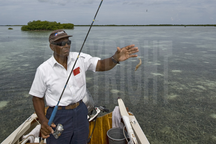 Bimini Island : Située à seulement cinquante miles de Miami, la mangrove de l'île est un petit paradis pour des espèces rares de raies, de poissons, de crustacés, d'éponges, d'oiseaux et de serpents. Aujourd'hui menacé par un projet hôtelier d'envergure. Ansil Saunders est un des spécialistes de la pêche au 