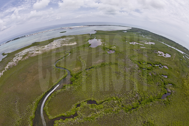 Bimini Island : Située à seulement cinquante miles de Miami, la mangrove de l'île est un petit paradis pour des espèces rares de poissons, de crustacés, d'éponges, d'oiseaux et de serpents. Aujourd'hui menacé par un projet hôtelier d'envergure.