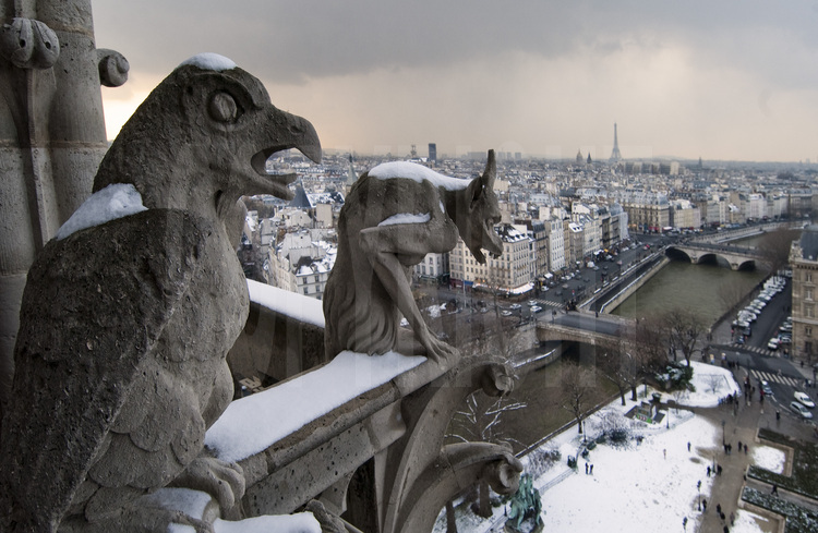 Paris, les sculptures monstrueuses de la façade ouest de Notre Dame de Paris sous la neige. En arrière plan, la Seine, le VIème arrondissement et la Tour Eiffel.