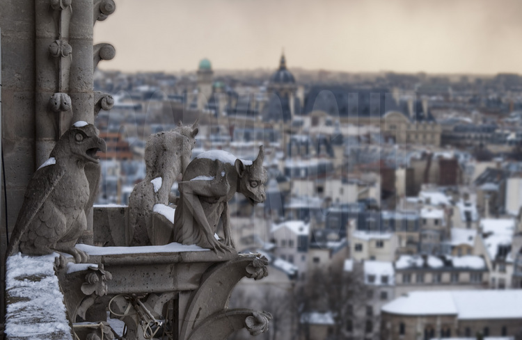 Paris, les sculptures monstrueuses de la façade ouest de Notre Dame de Paris sous la neige. En arrière plan, le quartier latin et l'université de la Sorbonne.