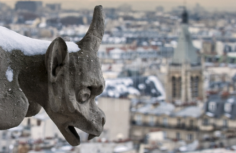 Paris, les sculptures monstrueuses de la façade ouest de Notre Dame de Paris sous la neige. En arrière plan, le clocher de l'église Saint Séverin et le quartier latin.