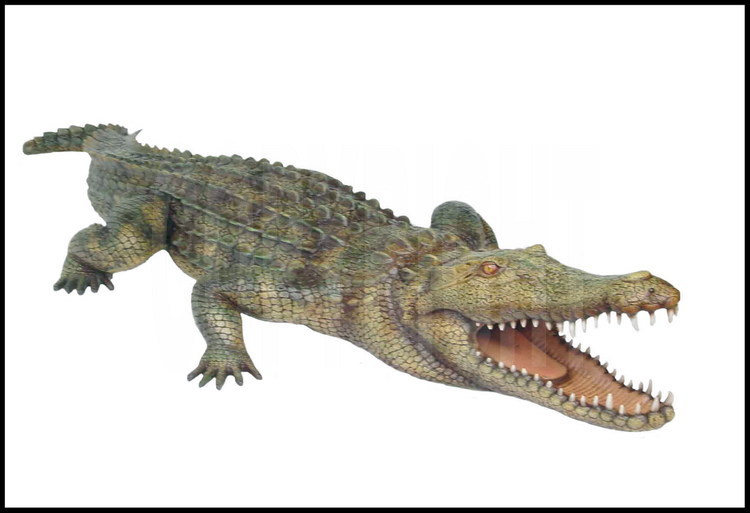 Sur le site de Koro Toro, découverte de la faune associée à la mâchoire d'Abel, qui permettra de dater le fossile d'hominidé de 3,5 millions d'années. Ces gisements bordent les anciens rivages du Lac Tchad, qui était à cette époque une gigantesque mer intérieure. Ici, découverte d'un fossile de mâchoire de crocodile (voir dessin).