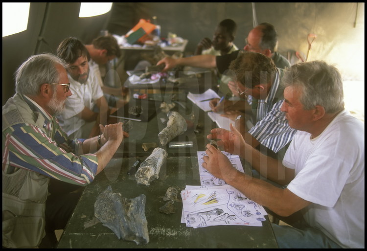 A l'intérieur des tentes du campement, les chercheurs analysent, répertorient et consolident les fossiles découverts dans la journée.