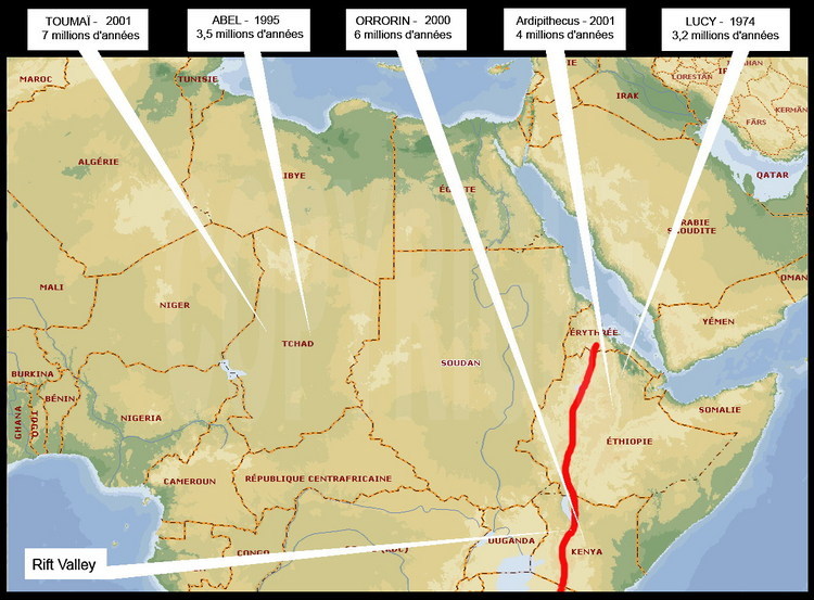 Carte de l'Afrique avec situation des sites de découvertes des plus anciens fossiles d'hominidés à ce jour. De 1924 à 1995, tous avaient été trouvés dans des gisements proches (ou à l'est) de la fameuse Vallée du Rift (en rouge), ce qui avaient conduit les scientifiques à élaborer et valider la théorie de l'East Side Story (pour résumer, développement des grands singes dans les plaines forestières à l'ouest, développement des premiers hominidés sur les hauts plateaux de savanes à l'est). Depuis la découverte d'Abel et de Toumaï plusieurs milliers de kilomètres à l'ouest de la Rift Valley, la communauté scientifique mondiale a du faire sa révolution et mettre au panier cette théorie, mise en place après la découverte de Lucy, il y a plus de trente ans.