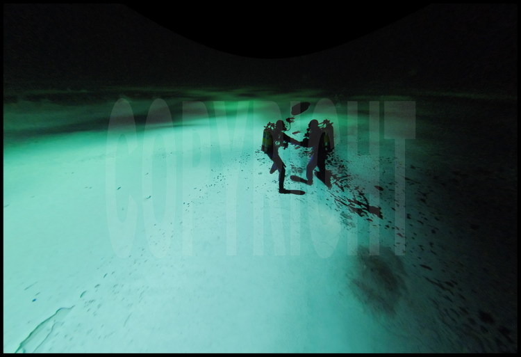 Sous leurs pieds, la banquise et la lumière. Sous leurs tête, le noir de l'océan glacial arctique et ses 4000 mètres de profondeur : les plongeurs Guislain Bardout et Jérôme Boutain se sont offert une visite 