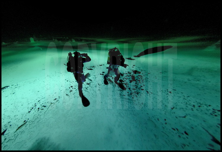 Sous leurs pieds, la banquise et la lumière. Sous leurs tête, le noir de l'océan glacial arctique et ses 4000 mètres de profondeur : les plongeurs Guislain Bardout et Jérôme Boutain se sont offert une visite 