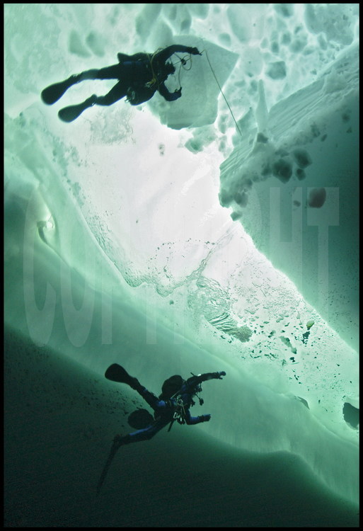 Au milieu des espaces d'eaux libres et des compressions,  les plongeurs Samuel Audrain et Guislain Bardout observent en détail le relief sous-marin de la banquise.