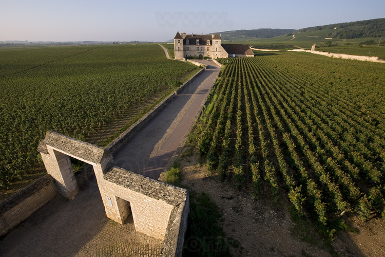 Clos Vougeot : le domaine viticole et le château éponyme.