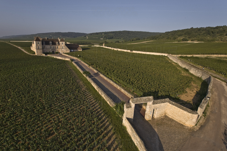 Clos Vougeot : le domaine viticole et le château éponyme. En arrière plan, la Côte d'Or.