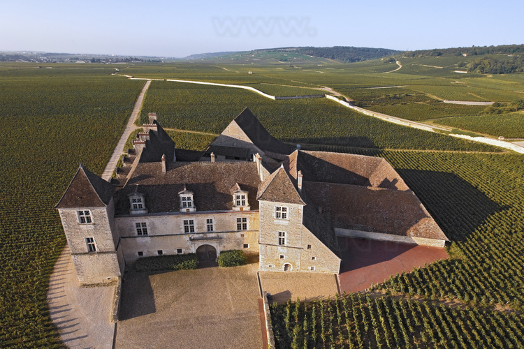 Clos Vougeot : le domaine viticole et le château éponyme. En arrière plan, la Côte d'Or.