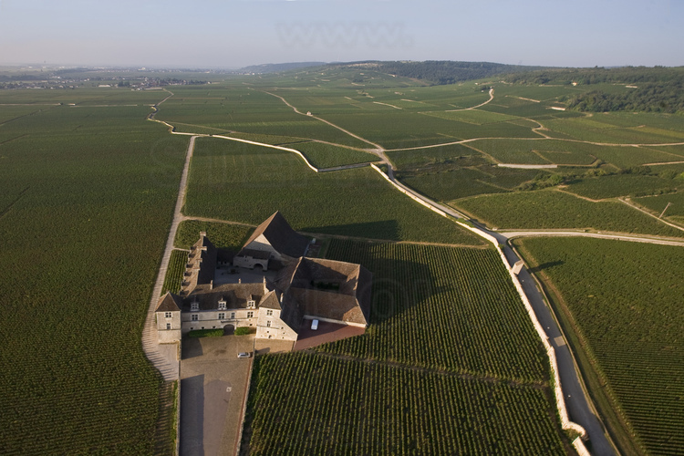 Clos Vougeot : vue générale sur le domaine viticole et le château éponyme. En arrière plan, la Côte d'Or.
