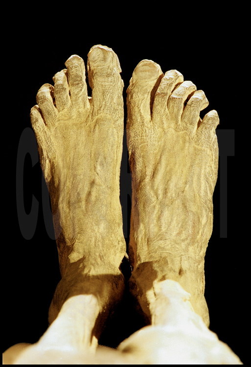 Laboratoire de campagne au musée de Kharga. L'état de conservation des momies est parfois troublant.  Les chairs parfaitement préservées permettent une étude précise de ce pied dont les ongles sont encore en place.