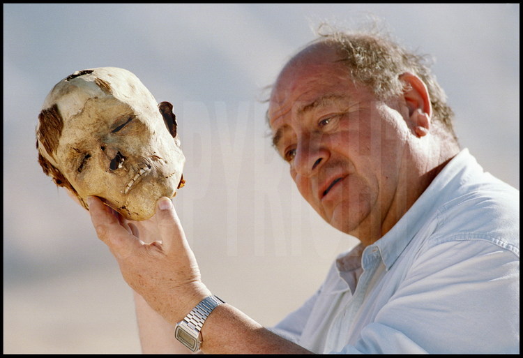 Site d'Ain Labakha. L'anthropologue Jean-Louis Heim examine une tête de momie victime de mort violente.