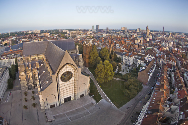 Lille - Notre Dame de la Treille and historic city center.