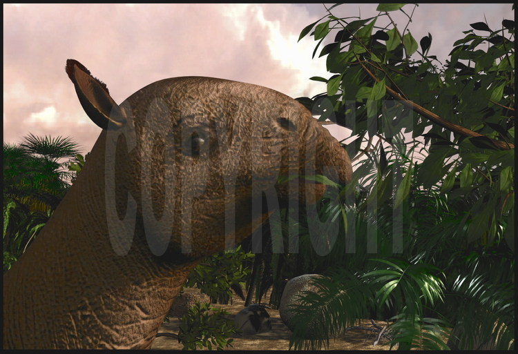 Reconstitution virtuelle en 3D du Baluchitherium évoluant dans son environnement. Grâce aux micro-fossiles découverts sur le site de Paali ( photos 12 à 14 ), les scientifiques sont en mesure de décrire la flore et la faune associées au Baluchitherium il y a environ trente millions d’années.
