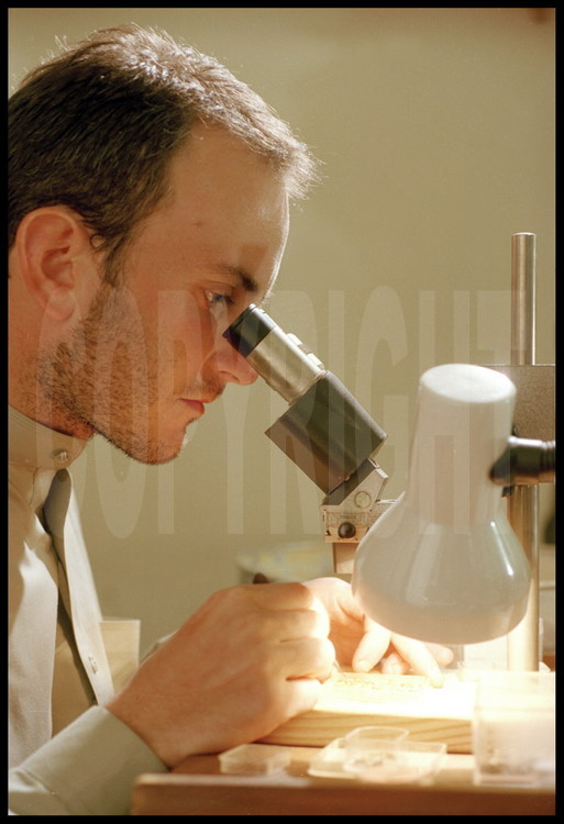 Among thousands of micro-fossils collected on Paali's site, the scientists found some tiny teeth of lemurs dated thirty million years. Of this discovery, Laurent Marivaux (here in the microscope andor in the foreground) drafted a scientific publication in the American review Science (in October, 2001). Indeed, these some teeth question simply the African origin of the primates and by consequent the African origin of the man.