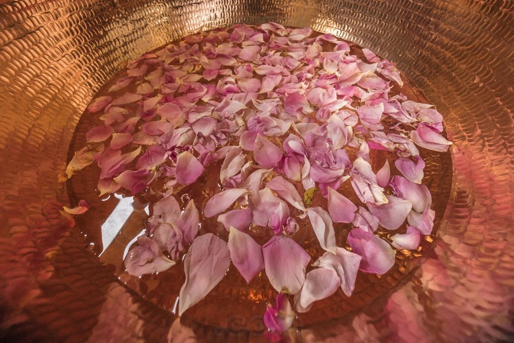 Oman. Djebel Akhdar, vallée des roses : Atelier de distillation des roses dans le village de El Haim.