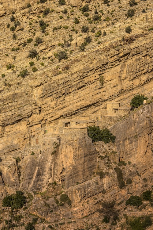 Oman. Maisons à flanc de falaise dans le Djebel Akdar. // Oman. Houses on the cliff side in Djebel Akdar.