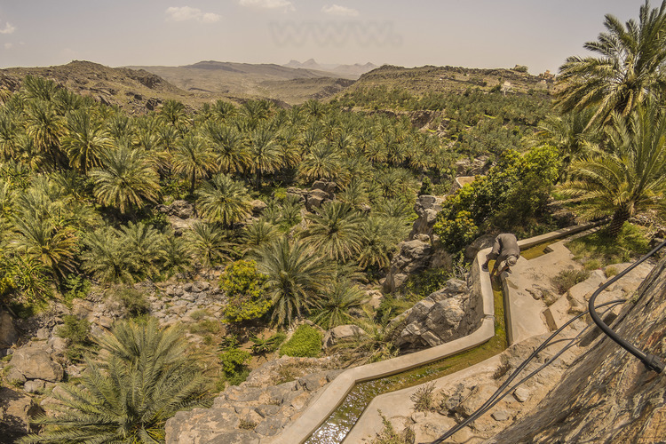 Oman. Canaux d'irrigation (classés au patrimoine de l'Unesco) dans la palmeraie et le village de Misfat. // Oman. Irrigation channels (classified as Unesco heritage) in the palm grove and the village of Misfat.
