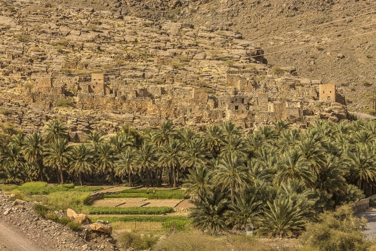 Oman. La palmeraie et le village du Wadi Ghul. // Oman. The palm grove and the village of Wadi Ghul.