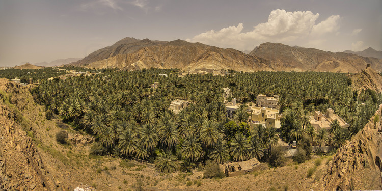 Oman. La palmeraie et le village de Birkat Al Mawz.  // Oman. The palm grove and the village of Birkat Al Mawz.