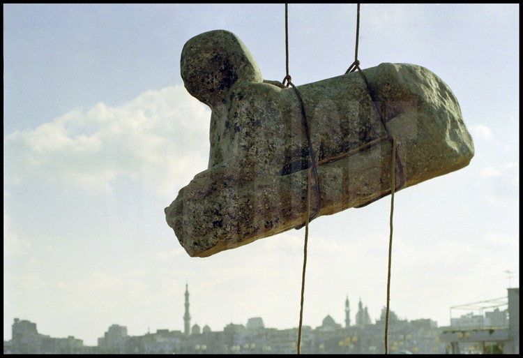 au milieu du port Est d'Alexandrie, opération de levage du sphinx de deux tonnes en granit rose d'Assouan, dédié au pharaon Ramsès II (1300-1235 avant JC). Parmi les douze sphinx découverts, il s'agit du seul entier, conservé avec sa tête. Le bloc sera ensuite transporté et déposé six mois dans une cuve de dessalement puis restauré. En arrière plan, les immeubles de la corniche d'Alexandrie.