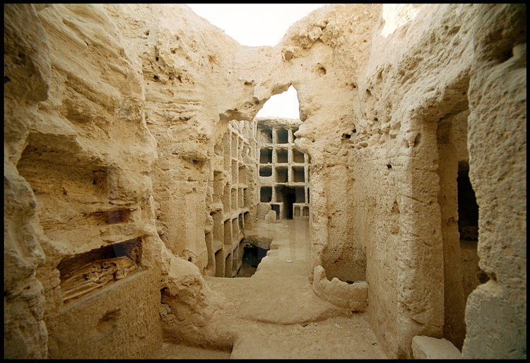 Jean-Yves Empereur studies burial chamber I whose seven levels hold one hundred loculi (loculus: funerary space dug in the rock belonging to the same family).  In the foreground, a child’s skeleton from the Ptolemaic era.