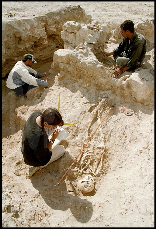 Depuis la fondation de la ville en 332 avant J.C., plusieurs centaines de milliers d'alexandrins ont été inhumés dans cette nécropole. Une mine d'information pour les archéologues, qui étudient minutieusement les squelettes découverts.