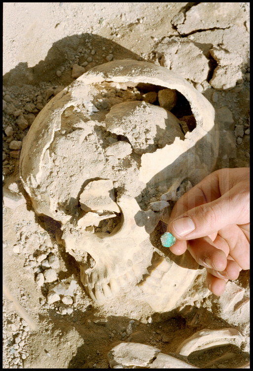 Entre les mâchoires de ce crâne féminin, une obole en bronze. Selon la mythologie grecque, on devait placer une pièce de monnaie (nommée obole) dans la bouche des morts, sorte de 
