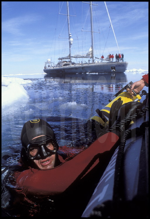Jamais le voilier Antarctica n'avait connu une glace aussi compacte et aussi dure à 