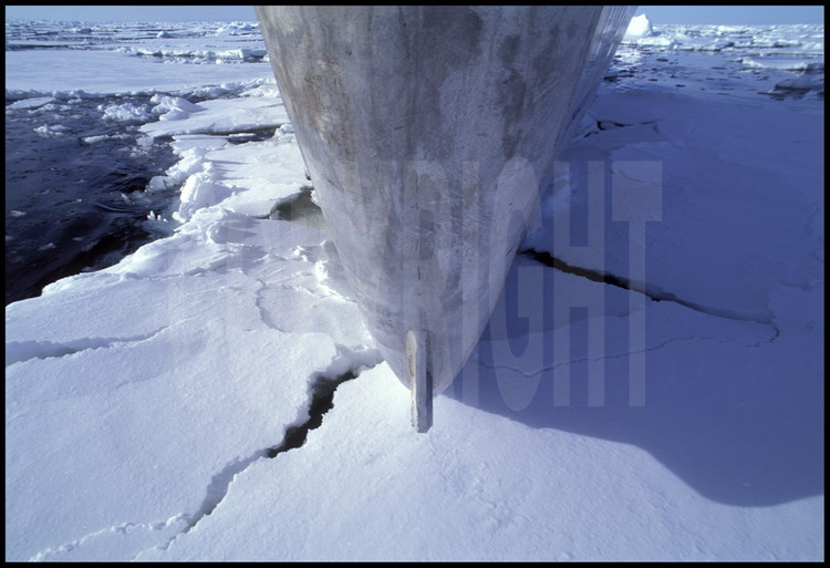 En ce début d'année 1994, la débâcle est très tardive, et la ceinture de glace qui barre l'accès au fond de la mer de Ross difficile à pénétrer. L'étrave du voilier Antarctica est mise à rude épreuve.