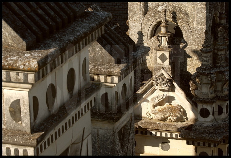 Château de Chambord : décors de toits et de cheminées. La salamandre est l'emblème du roi bâtisseur, François 1er. Classé au patrimoine mondial de l'Unesco depuis 1981, Chambord est le plus vaste des châteaux du val de Loire et constitue l'un des chefs-d'œuvre architecturaux de la Renaissance : 156 m de façade, 426 pièces, 77 escaliers, 365 cheminées et 800 chapiteaux sculptés.
