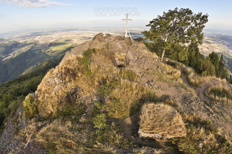 Battle of Hartmanswillerkopf (Hill of the Old Armand) : Remains of German trenches north of the summit. In the background, the plain of Alsace, German at the time. Strategic position overlooking the plain of Alsace, east of the Vosges, about 300,000 men fought here to win (for French) or defend (for German) Alsace region. Approximately 50,000 people are dead or missing and 12,000 French soldiers are buried unknown in the crypt of the National Monument (pictures 239 and 240).