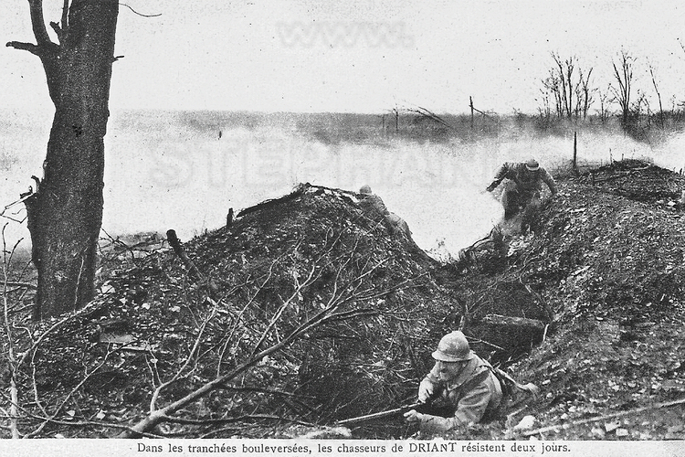 Battle of Verdun: In the wood of Caures, the regiment of Chasseurs of Colonel Driant during the Great War, 21, 22 and 23 February 1916. (This historic photo archive is not available for sale and only presented here to set the context).