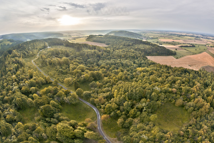 Peak of Eparges, Site of the funnels. Forever marked by the terrible mine warfare between the two camps, the site has left these so characteristic craters in the landscape. The former front line is now indicated by a paved road, visible in the center (left of the road, the German lines, right, the French lines). In the foreground, three mine craters. In the background right, the village of Eparges.