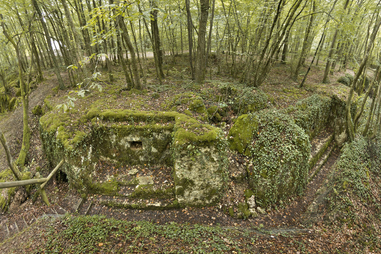Saint Mihiel Salient: Remains of trenches of Bavarians and Rouffignac, the first German lines in Apremont Forest area, 15 km from the town of St. Mihiel. This area is sadly notorious as one where there was the most deaths per square meter.