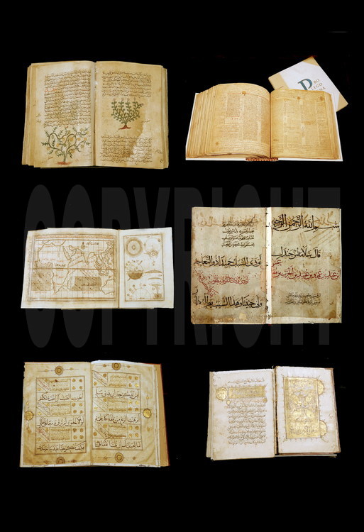 Sélection de quelques livres rares confiés à Biblioteca Alexandrina.