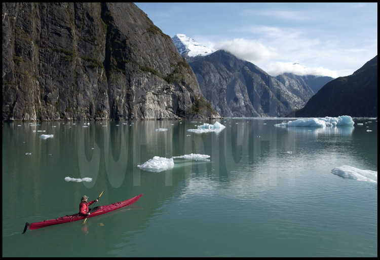 A la recherche de territoires susceptibles d'abriter l'ours bleu, Lynn Schooler remonte Holkham river et ses glaciers comme suspendus au dessus de la rivière. Et quand le bateau ne passe plus, Lynn Schooler utilise le kayak.