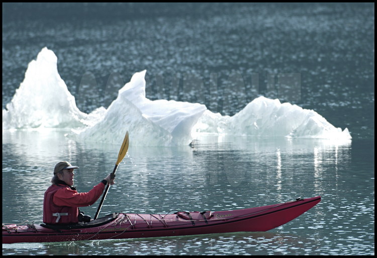 A la recherche de territoires susceptibles d'abriter l'ours bleu, Lynn Schooler remonte Holkham river et ses glaciers comme suspendus au dessus de la rivière. Et quand le bateau ne passe plus, Lynn Schooler utilise le kayak.