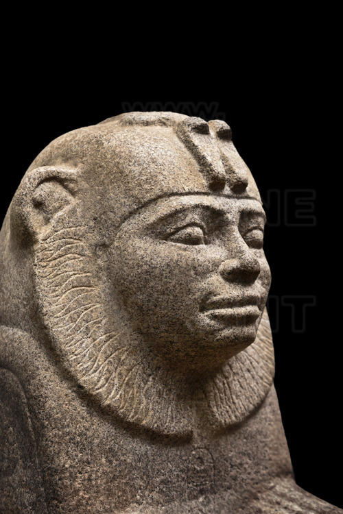 This granite sphinx of King Taharqa (25th Dynasty, 690-664 AD) is a perfect example of 