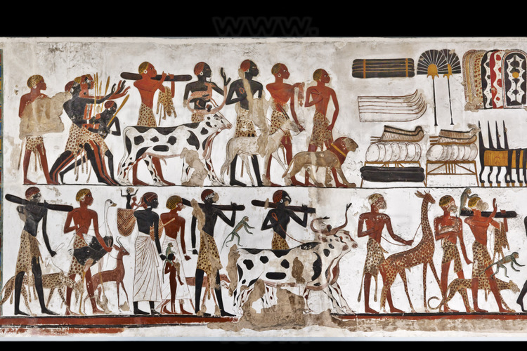 This polychrome frescoes, found inside the temple of Beit el-Wali (Lower Nubia), is a military expedition of Pharaoh Ramses II (right, photo 89). We see a panel of Nubians to the skin black or brown with leopard skins and large earrings. On the left (photo 88), the viceroy to the king offers Amenemope quantity of products from Africa, including bag of gold, incense, ivory, ostrich eggs, etc. And also many live animals, including lions, giraffes, ostriches, gazelles, leopards, monkeys and antelopes.