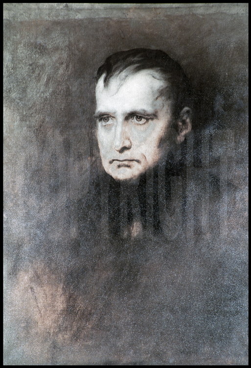 Portrait de Napoléon durant sa captivité dans l'île. Il est actuellement visible dans le salon de la maison de Longwood.
