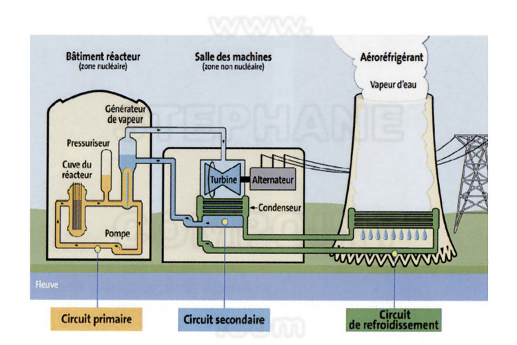 Centrale nucléaire du Bugey : Description du fonctionnement d'une tranche, depuis le réacteur nucléaire jusqu'à la production d'électricité civile.