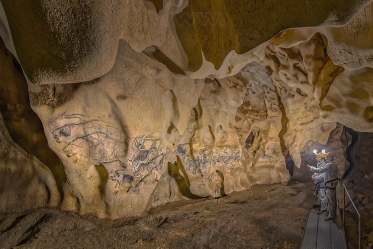 Auvergne Rhône Alpes - Ardèche (07) -  Vallon Pont d'Arc - Visite exclusive de la grotte ornée du Pont d'Arc, dite Grotte Chauvet : Salle du Fond. Fidel Sola (à gauche) et Jean Clottes (à droite) devant le Grand Panneau des Lions en chasse.  Les scènes de chasse sont rares dans l'art paléolitique. Celle-ci est unique.
