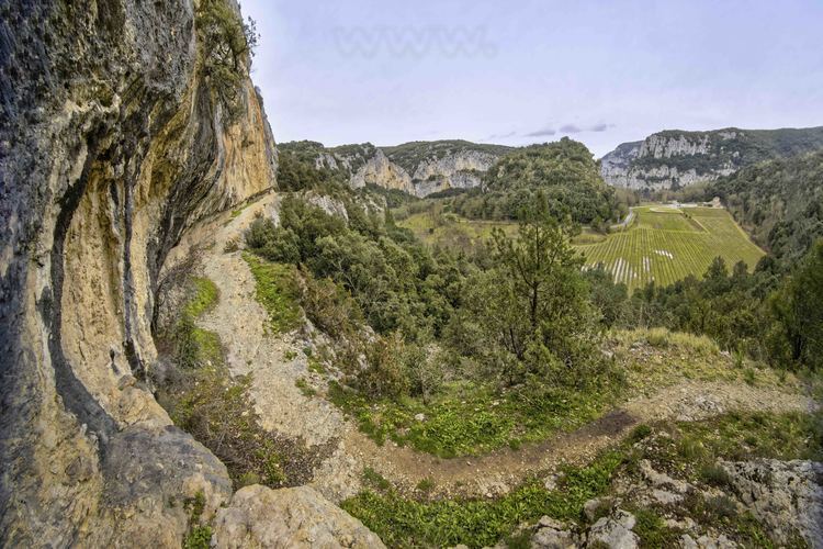 Auvergne Rhône Alpes - Ardèche (07) - Vallon Pont d'Arc - Visite exclusive de la grotte ornée du Pont d'Arc, dite Grotte Chauvet : D'une longueur d'environ 1 km, la partie inférieure du chemin d'accès à la grotte Chauvet est creusé dans la roche.
