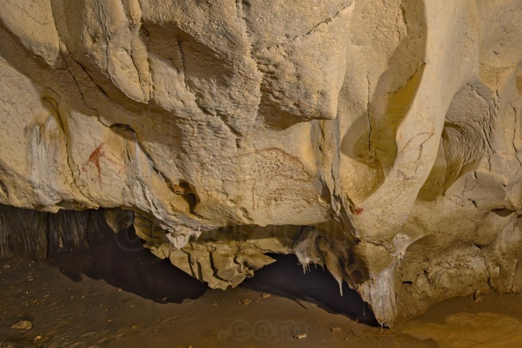 Auvergne Rhône Alpes - Ardèche (07) -  Vallon Pont d'Arc - Visite exclusive de la grotte ornée du Pont d'Arc, dite Grotte Chauvet : Salle des Bauges, vue generale. Il s'agit de la plus vaste salle de la grotte (59 m dans sa plus grand largeur). Panneau de la Panthère Rouge.
