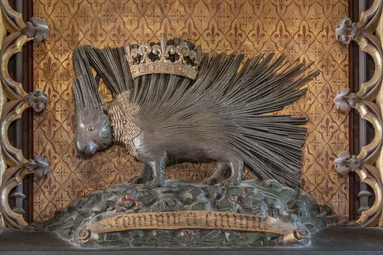 Val de Loire - Loir et Cher (41) - Château de Chaumont sur Loire : Grand salon. Au dessus de la cheminée, une représentation du porc-épic, que Louis XII (1462 -1515), père de François 1er,  avait pris pour emblème, avec la devise : 